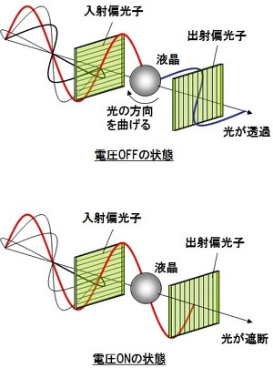 偏光子・液晶の配置と動作