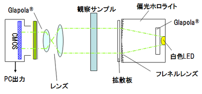 歪観察ユニットの簡易的な光学図
